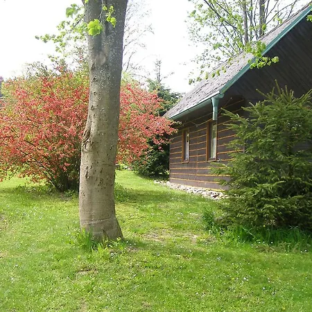 Dvorecna