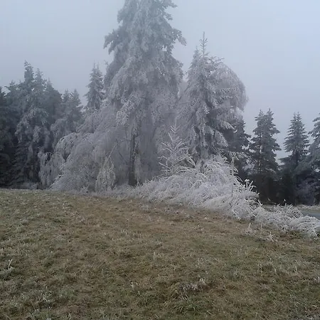 Chalet Chata Dvorecna Loučovice