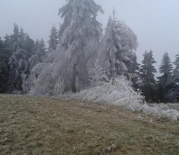 Chalet Chata Dvorecna Loučovice