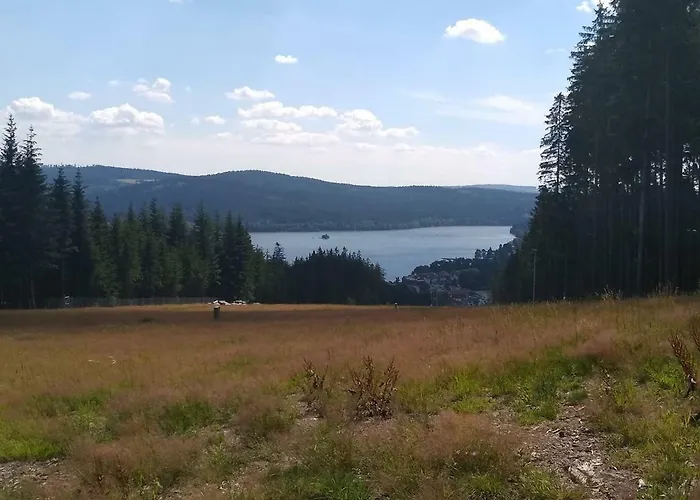Chata Dvorecna Chalet Loučovice